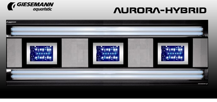 Giesemann's new Aurora-Hybrid LED/T5 lighting system