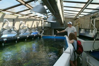 Hanauma Bay, Hawai'i, hosts leading aquaculture experts