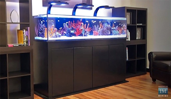 Innovative Marine's SR series aquarium systems ready for your consideration