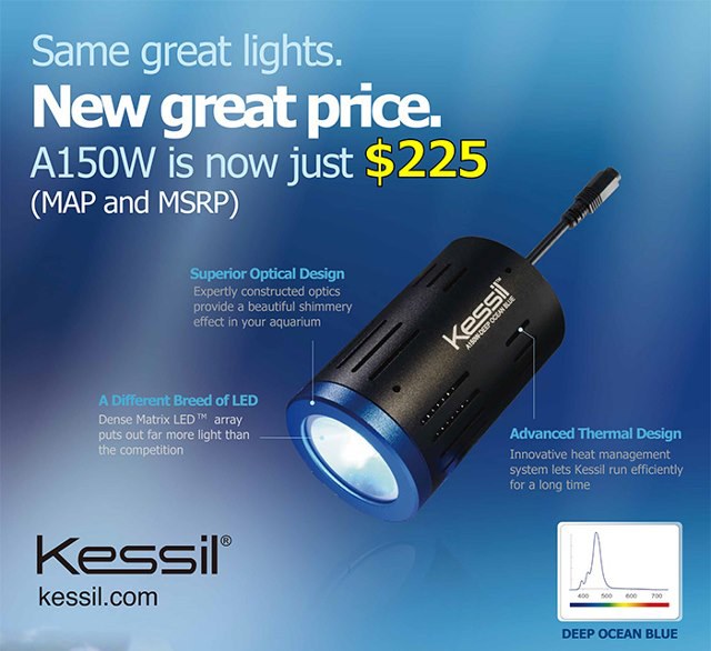 Kessil drops price on popular A150W to $225