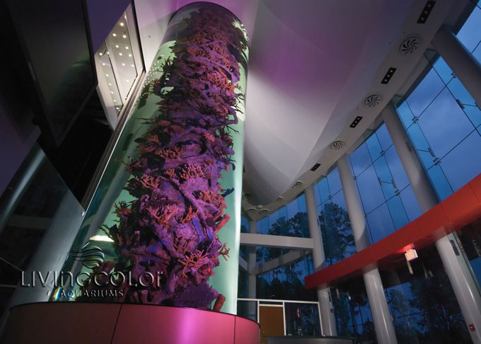 Living Color's 9,000 gallon cylinder artificial reef aquarium