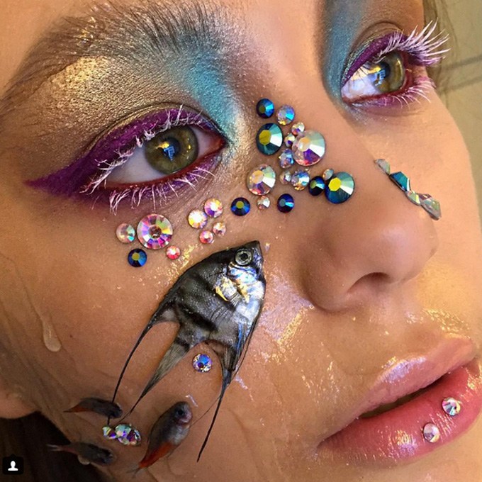 Makeup artist uses dead tropical fish as fashion accessories