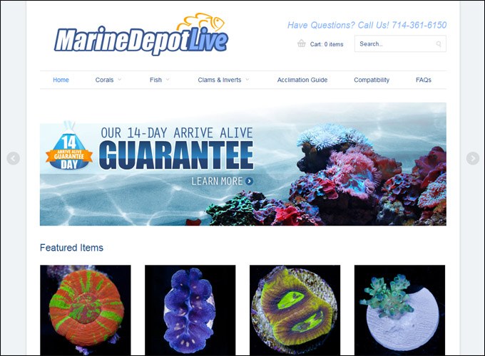 Marine Depot Live is back!  We interview Marine Depot about their return to livestock.