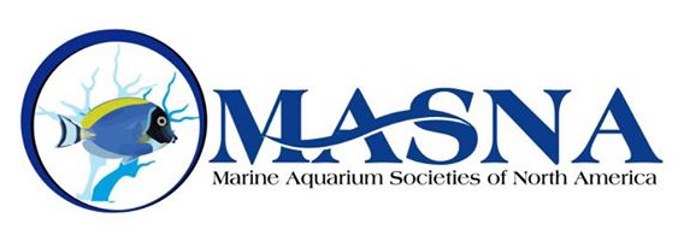 MASNA Board of Directors positions available