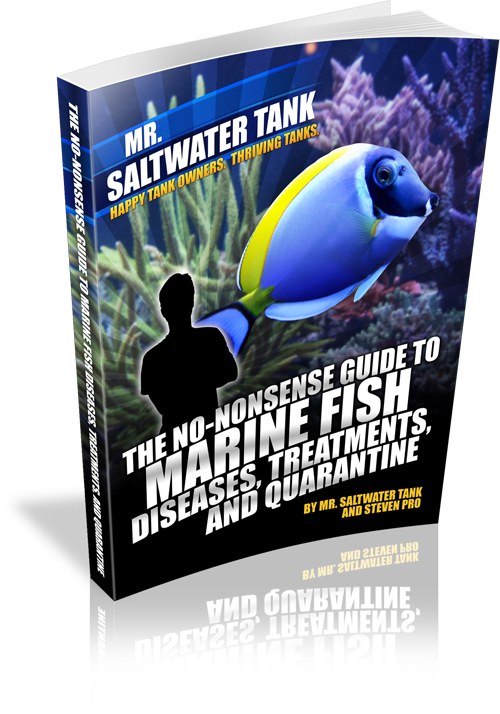 Media Review: The No-Nonsense Guide to Saltwater Fish Diseases, Treatments and Quarantine