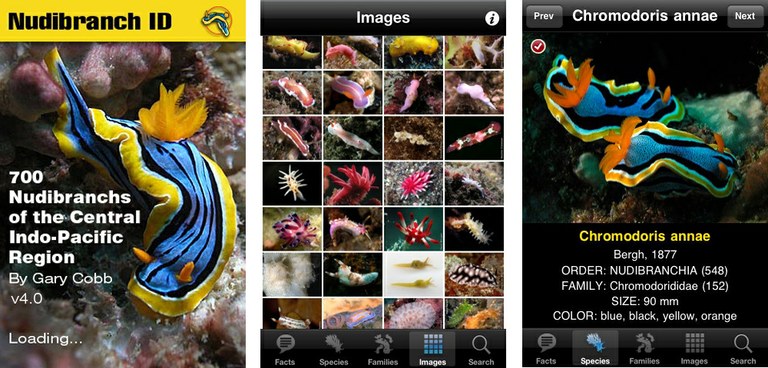Nudibranch ID - iPhone app to identify nudibranchs from around the world