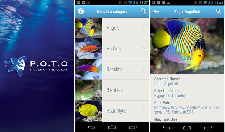 P.O.T.O. marine fish guide available for Android and iOS smartphones