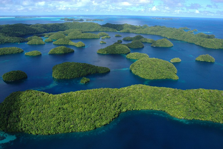 Palau to establish massive marine reserve