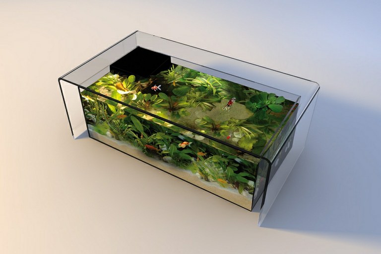 Perhaps the world's most elegant coffee table aquarium 