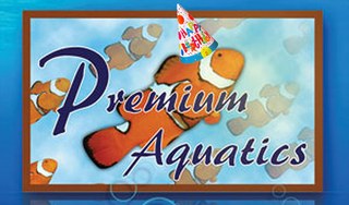 Premium Aquatics celebrates their 20th anniversary with sales