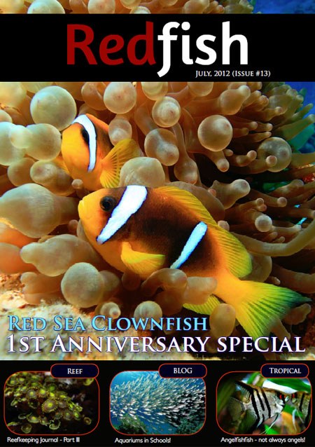 Redfish Issue #13 available now