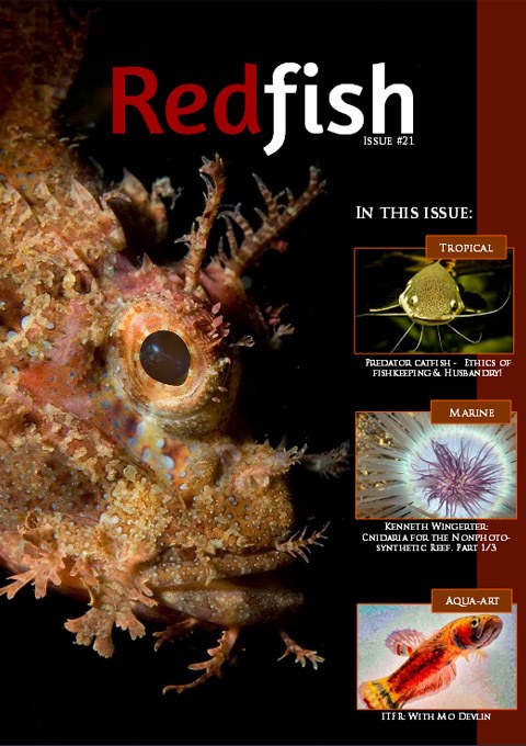 Redfish Issue #21 is available now