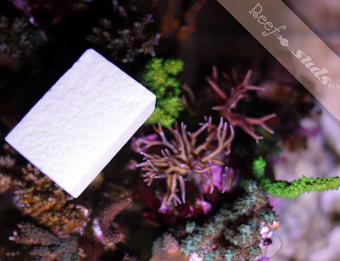 Reef Suds: A new "aquarium safe" soap