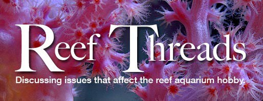 Reef Threads publishes their 100th podcast