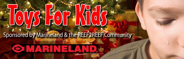 Reef2Reef's Toys for Kids Christmas 2011 
