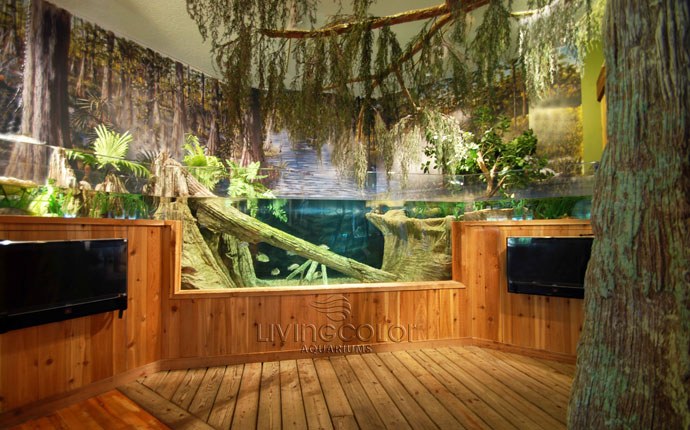 2000 Gallon River Aquarium