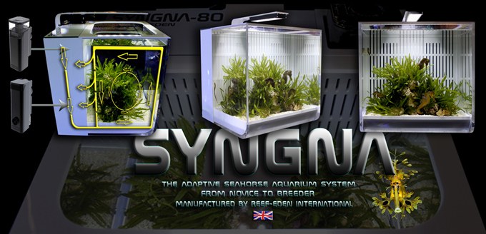 Mount up!  Seahorse aquariums go upscale with SYNGNA All-In-One
