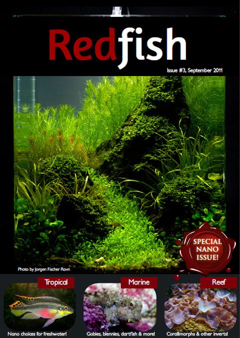 September 2011 Redfish now available for free download