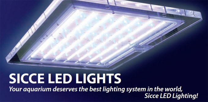 Sicce introduces LED lights