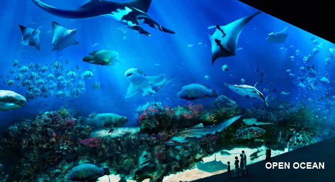 Singapore is now home to the world's largest aquarium 