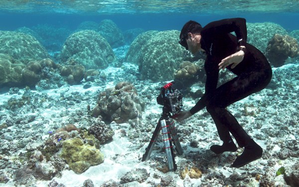 Stanford drones open way to new world of coral research