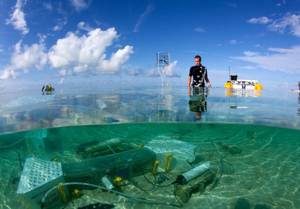 Stanford researchers help predict the oceans of the future with a mini-lab