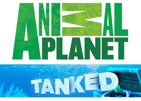 'Tanked' season 2 starts April 14, 2012