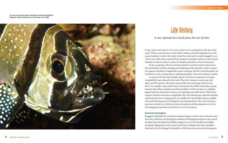 The Banggai Cardinalfish book will debut at MACNA South Florida!