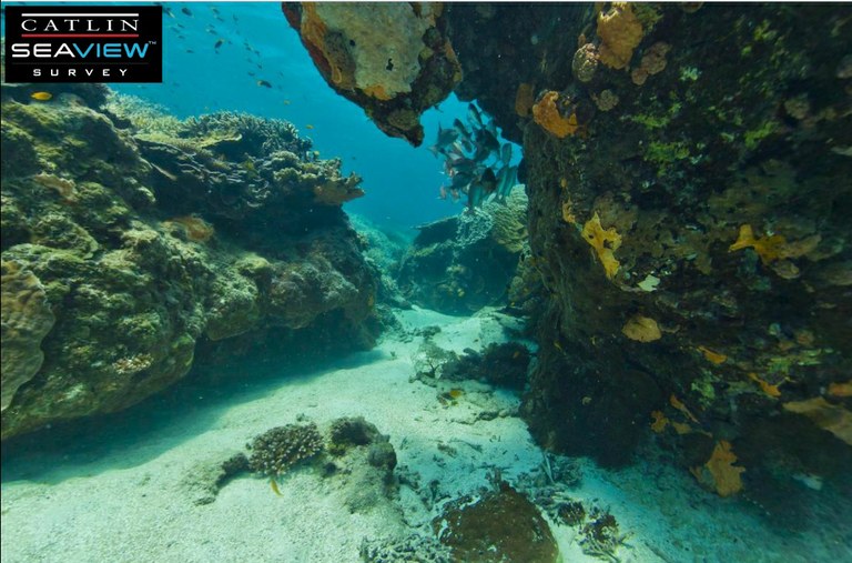 The Catlin Seaview Survey plans to be the Google Street View of the Great Barrier Reef