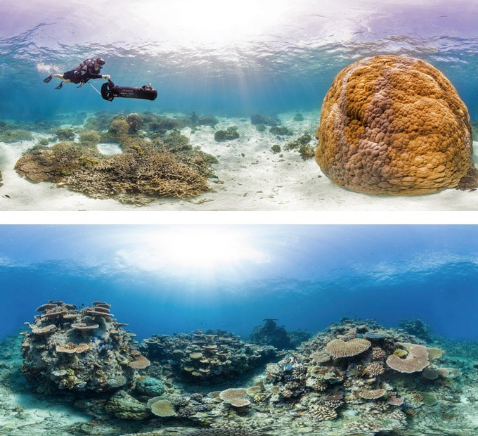The Catlin Seaview Survey produces some ridiculously amazing reef panoramas