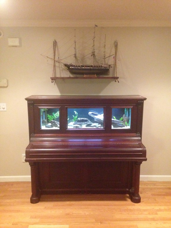 The Piano Aquarium