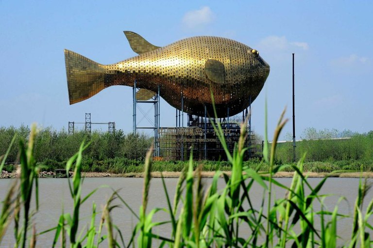 The world's biggest fish