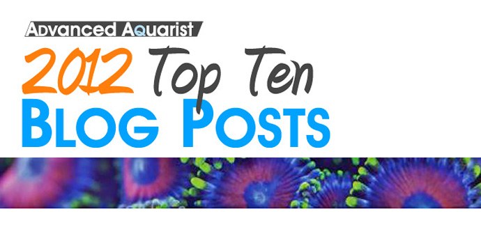 Top blog posts for 2012