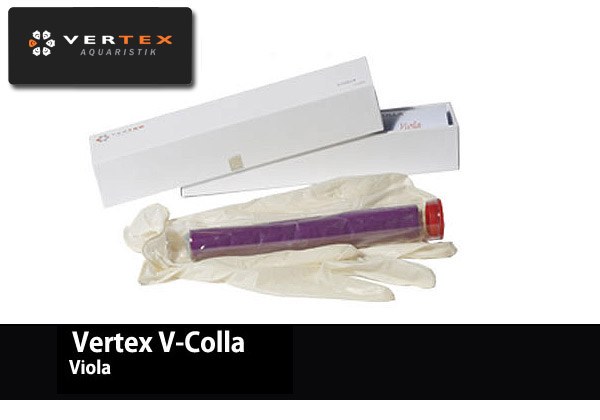 Vertex V-Colla Viola Epoxy
