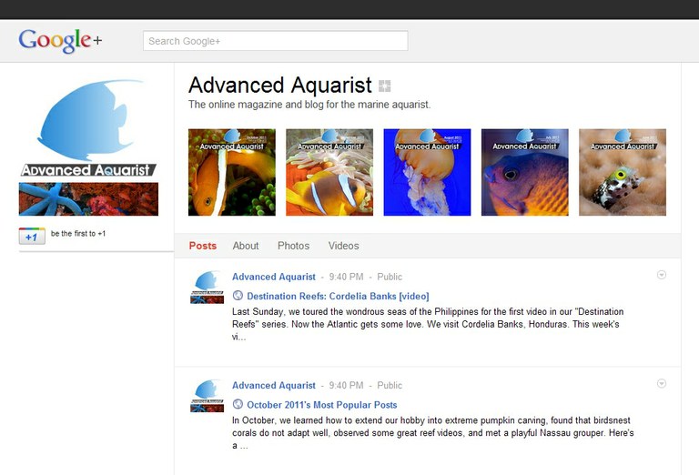 We're now on Google+!