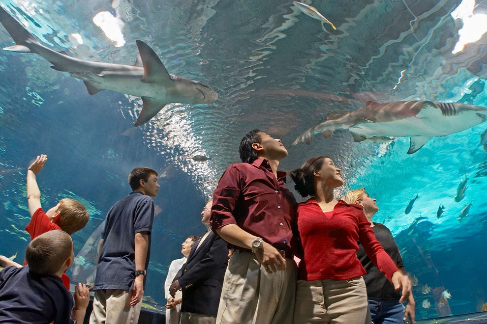 Vote For Your Favorite Aquarium in North America!
