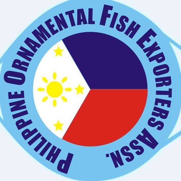 Misguided Ban on Fishing of Surgeonfish, Damselfish, Rabbitfish, and Parrotfish defeated in Philippines