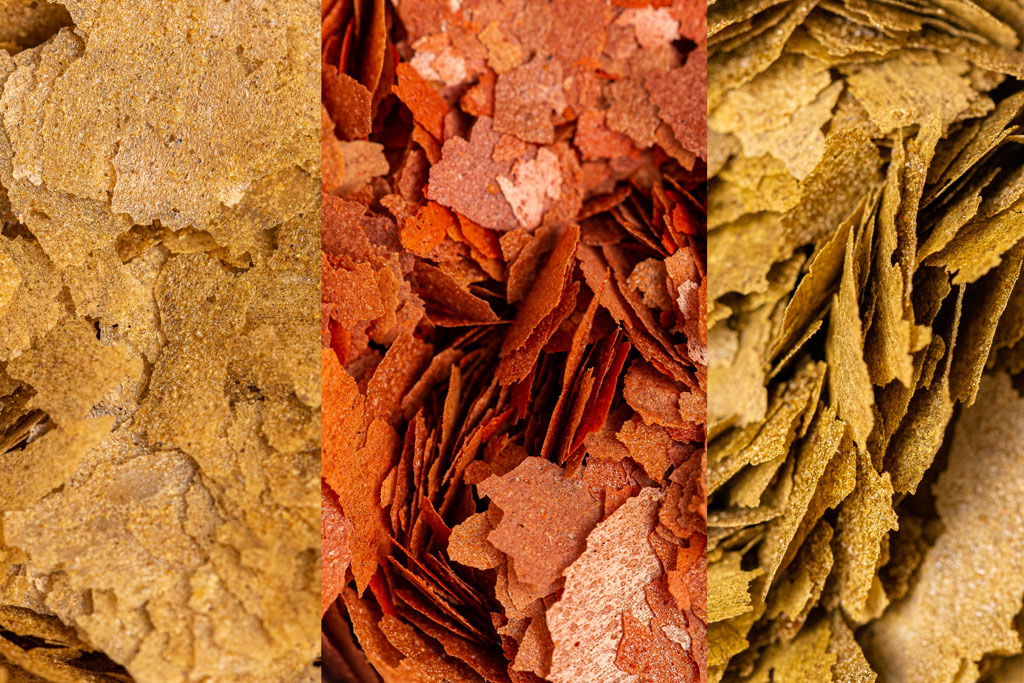 The new PRO series feeds by Amtra: Natural, Color, and Vegetal Flake