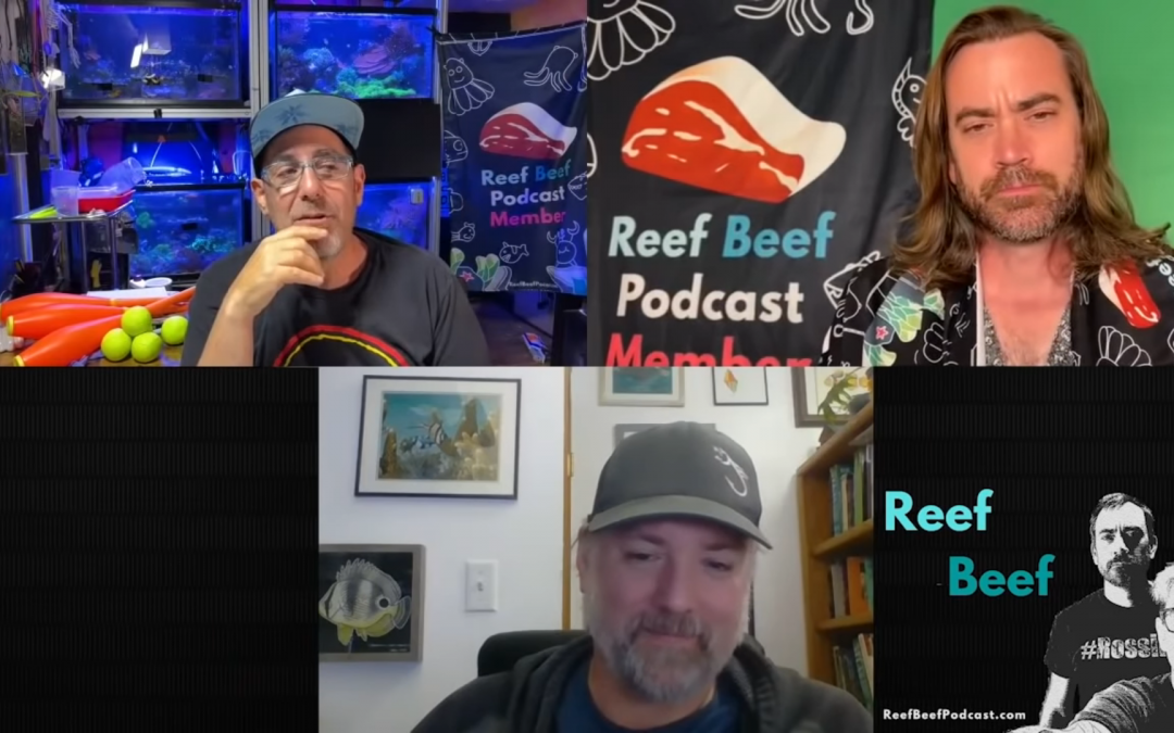 Reef Beef Episode 46: Old Men Yell at Clouds with Matt Pedersen