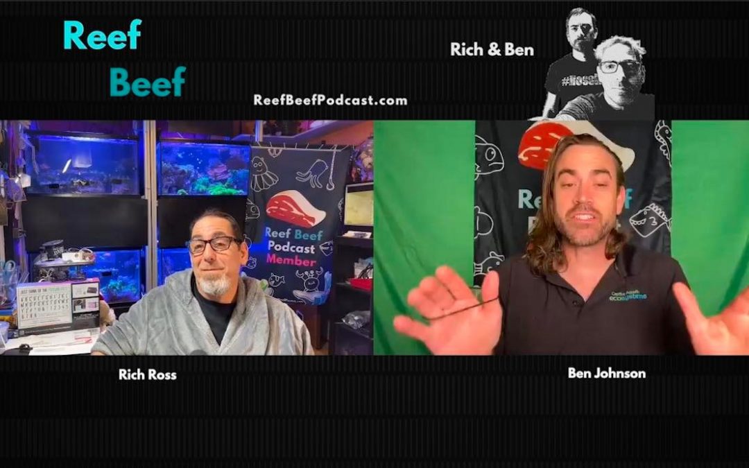 Reef Beef Episode 48 – Detritus with the Bay Area Reefers