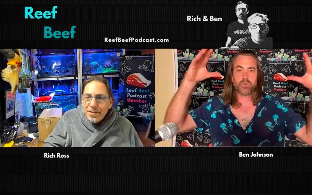 Reef Beef Episode 52- Herbivores are the Answer