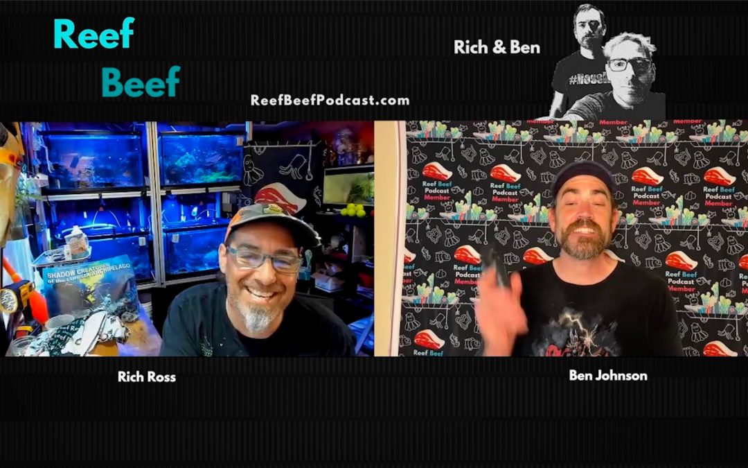 Reef Beef Episode 56 – Questioning Calc Reactors