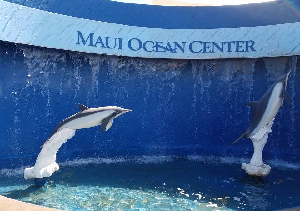 Travel: Maui Ocean Center