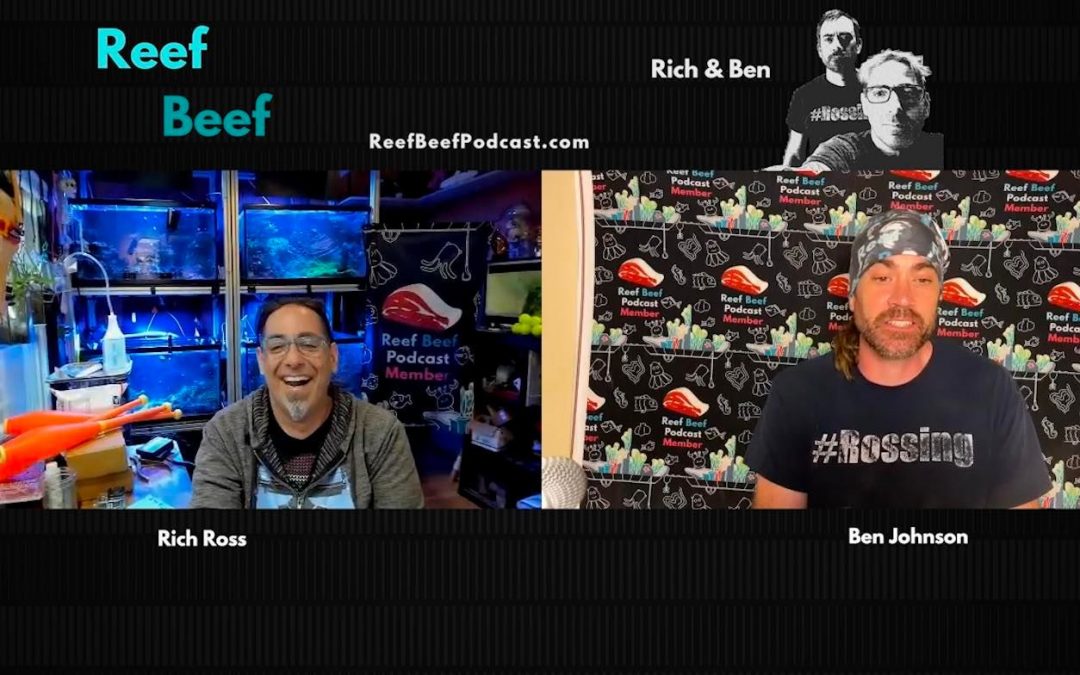 Reef Beef Episode 54 – Real Beefers, Real Beef