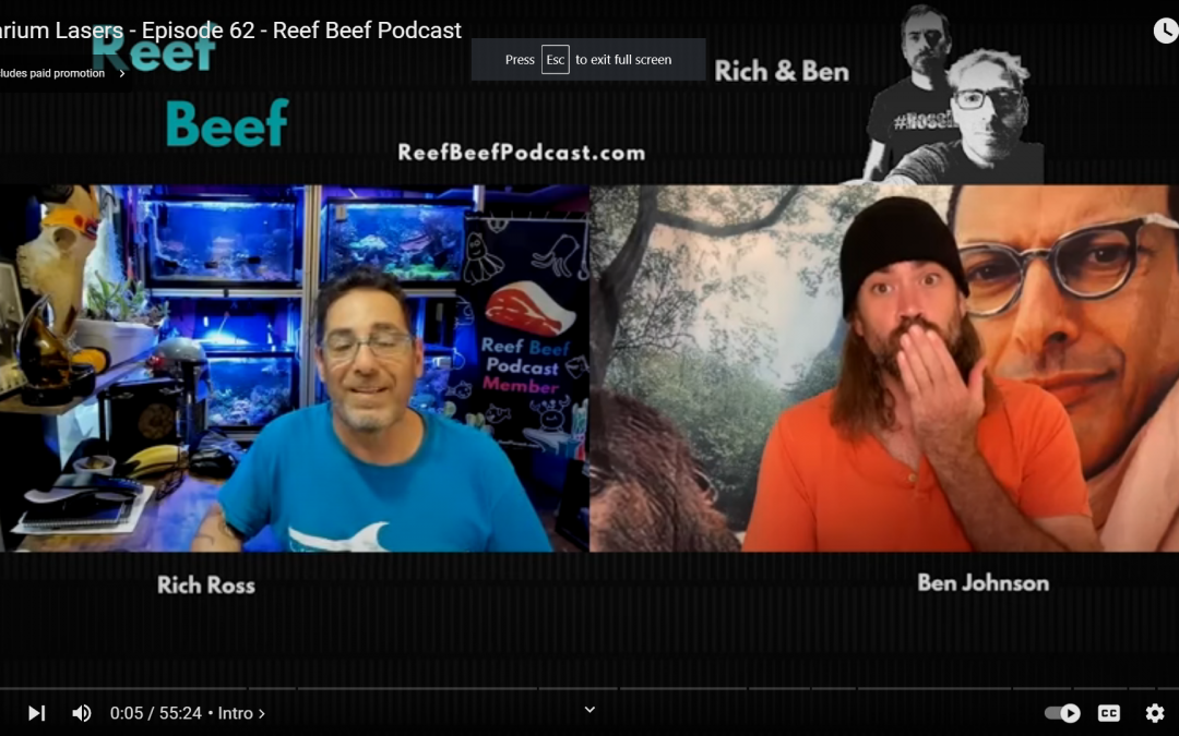 Aquarium Lasers  – Episode 62 – Reef Beef Podcast