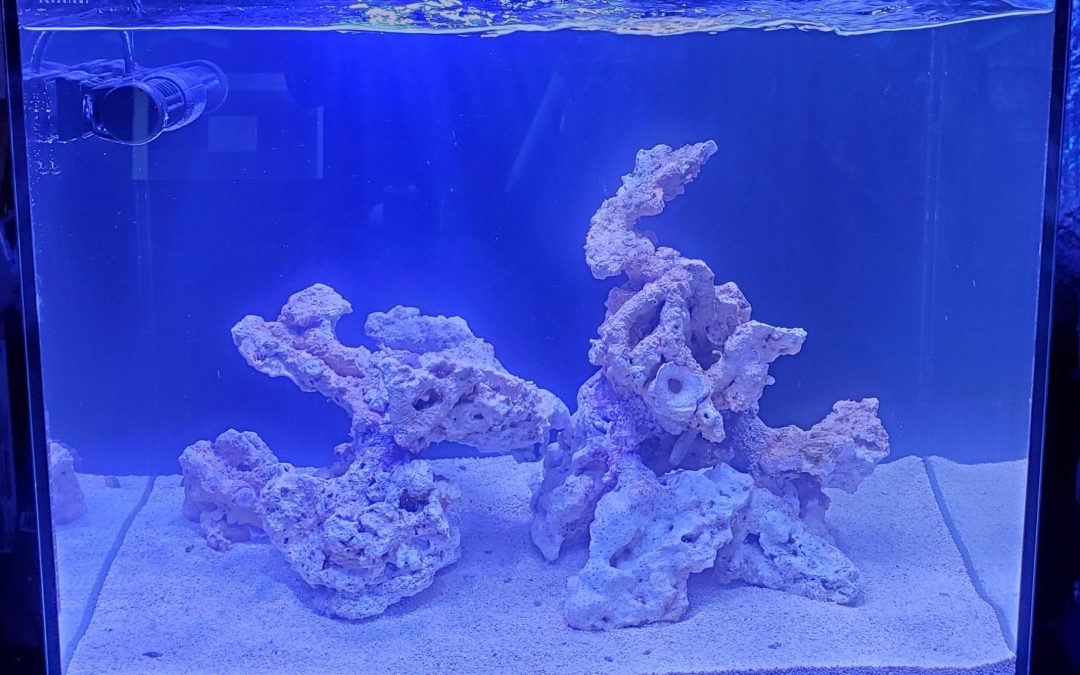 Reef Mentoring: Part#3 – Aquascaping and Cycling the Tank