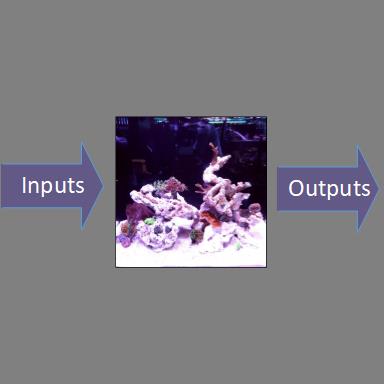Reef Mentoring: Part 6 – Understanding Inputs and Outputs