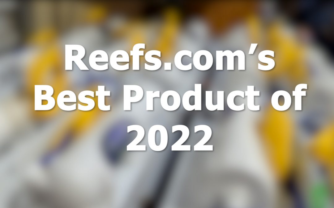 The Best Products of 2022