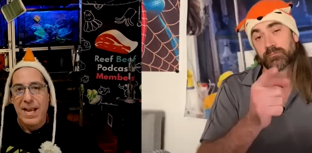 Reef Beef Episode 79: Mind Stories