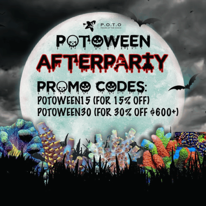 potoween-afterparty-r2r.gif